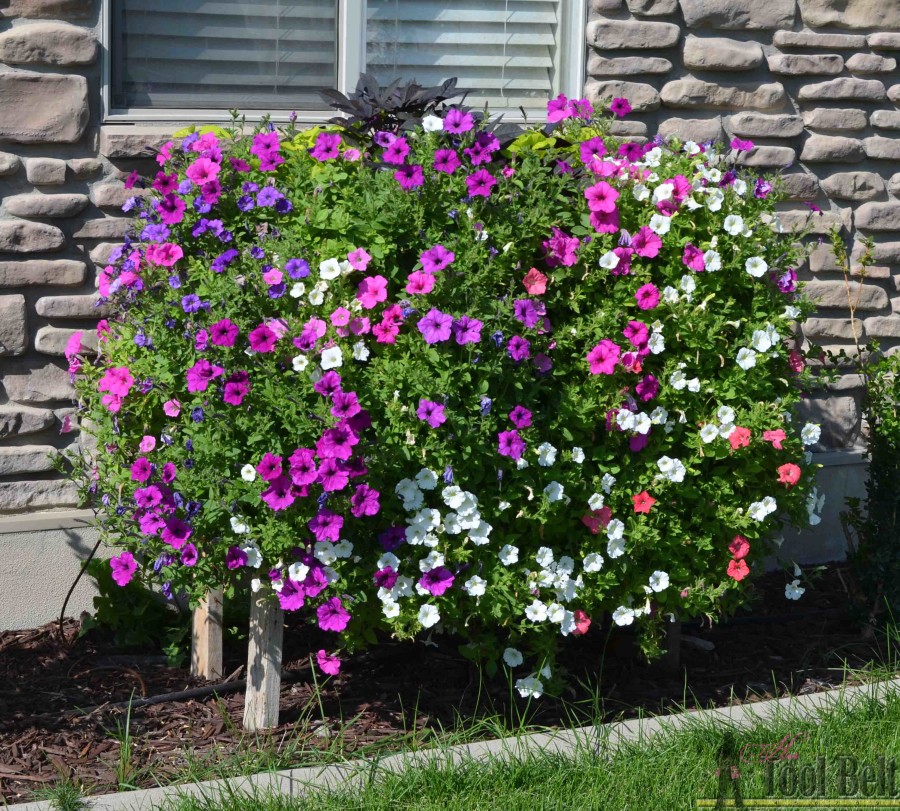 6 Aug 24 cascading flower palley planter