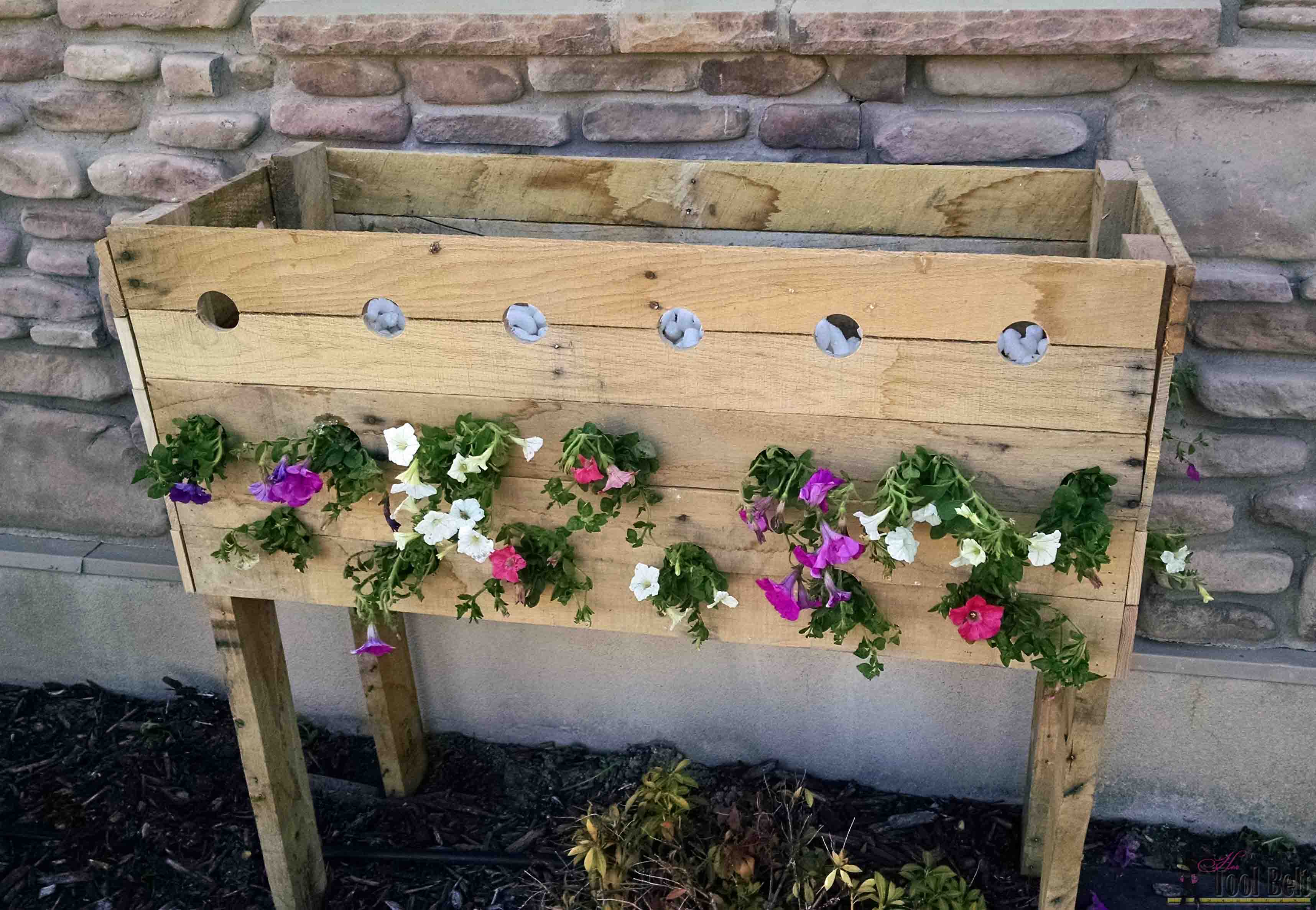 Pallet planter box for cascading flowers her tool belt