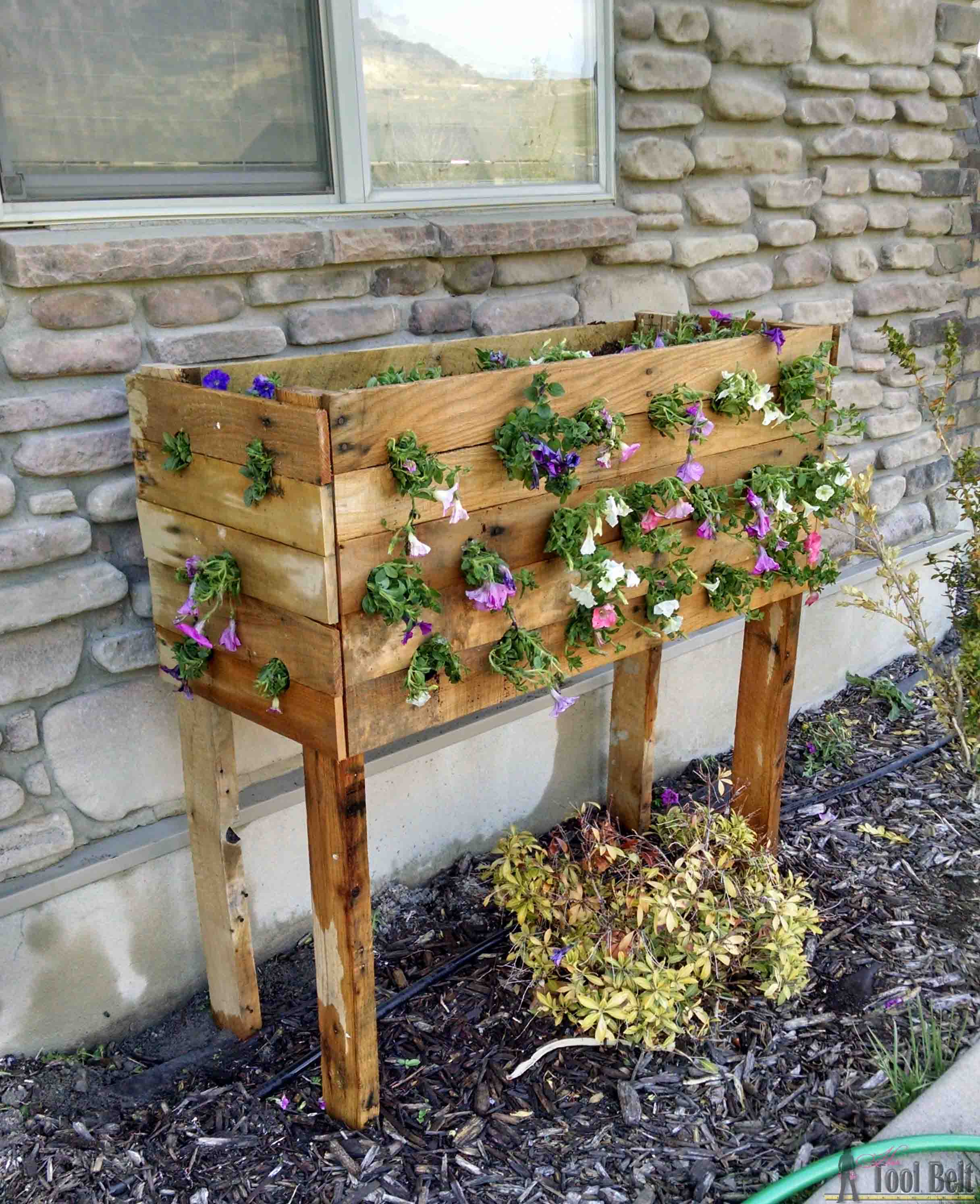 Check out these flowers - DIY pallet planter box for those amazing cascading flower baskets.