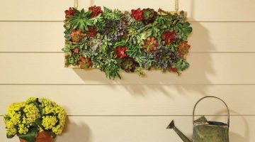 Vertical Succulent Garden DIH Workshop