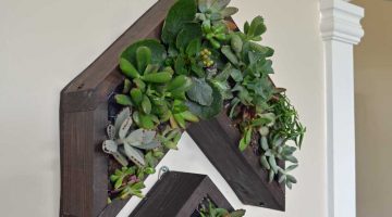 Arrow Vertical Succulent Planter