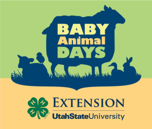 Baby Animal Days