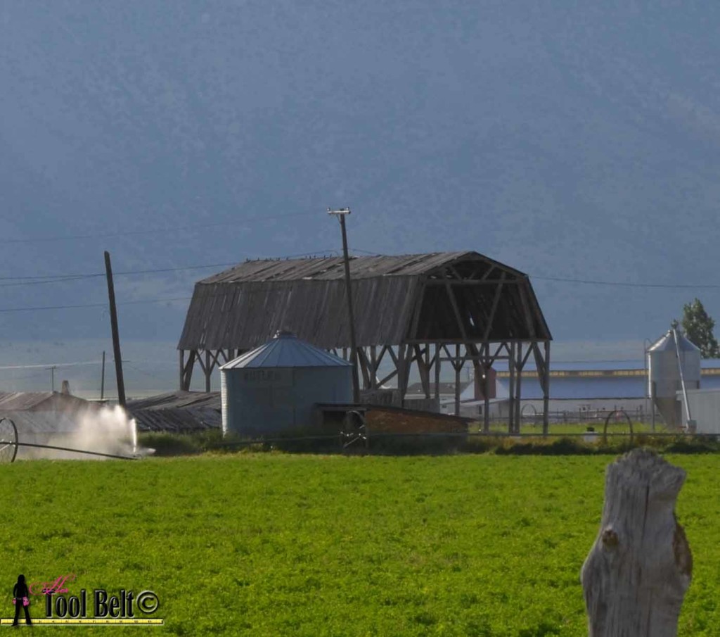 Remo's old barn