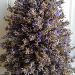 Lavender tower on hertoolbelt.com