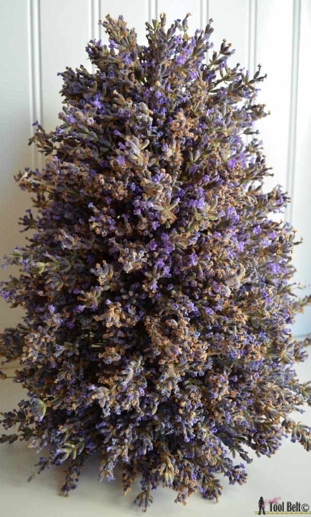 Lavender tower - enjoy the wonderful aroma of your lavender in a unique display on hertoolbelt.com