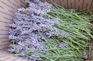 lavender tower - harvest lavender sprigs #hertoolbelt