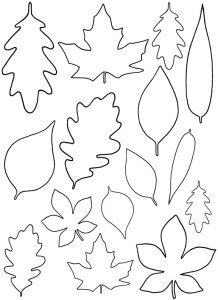 leaf template