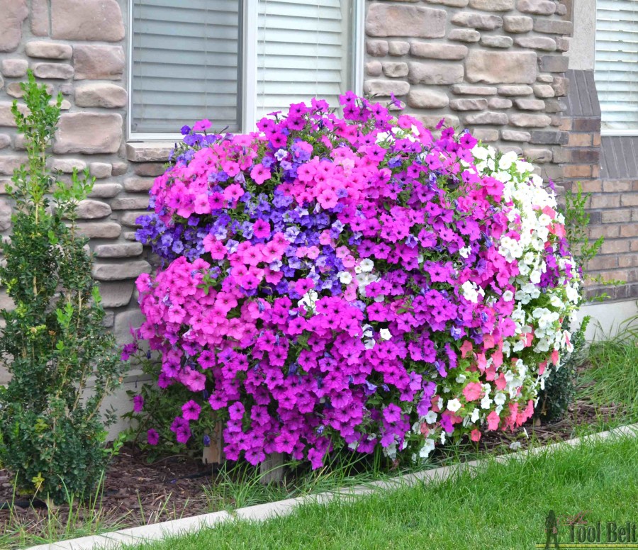 Cascading flower pallet planter box Sept