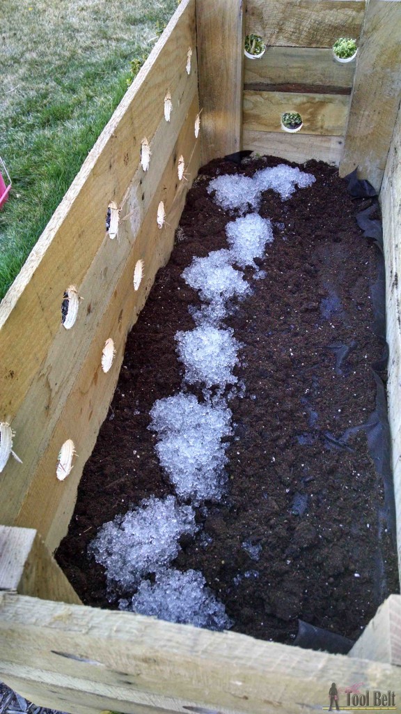 Check out these flowers - DIY pallet planter box for those amazing cascading flower baskets.