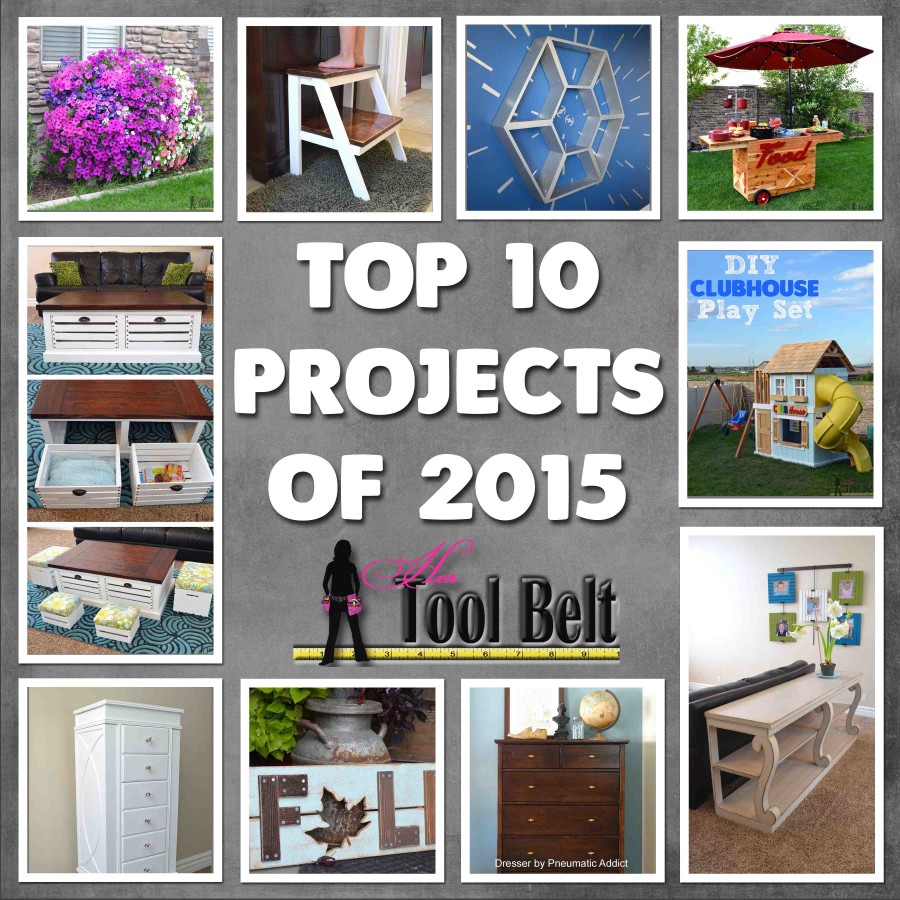 Top 10 2015 hertoolbelt