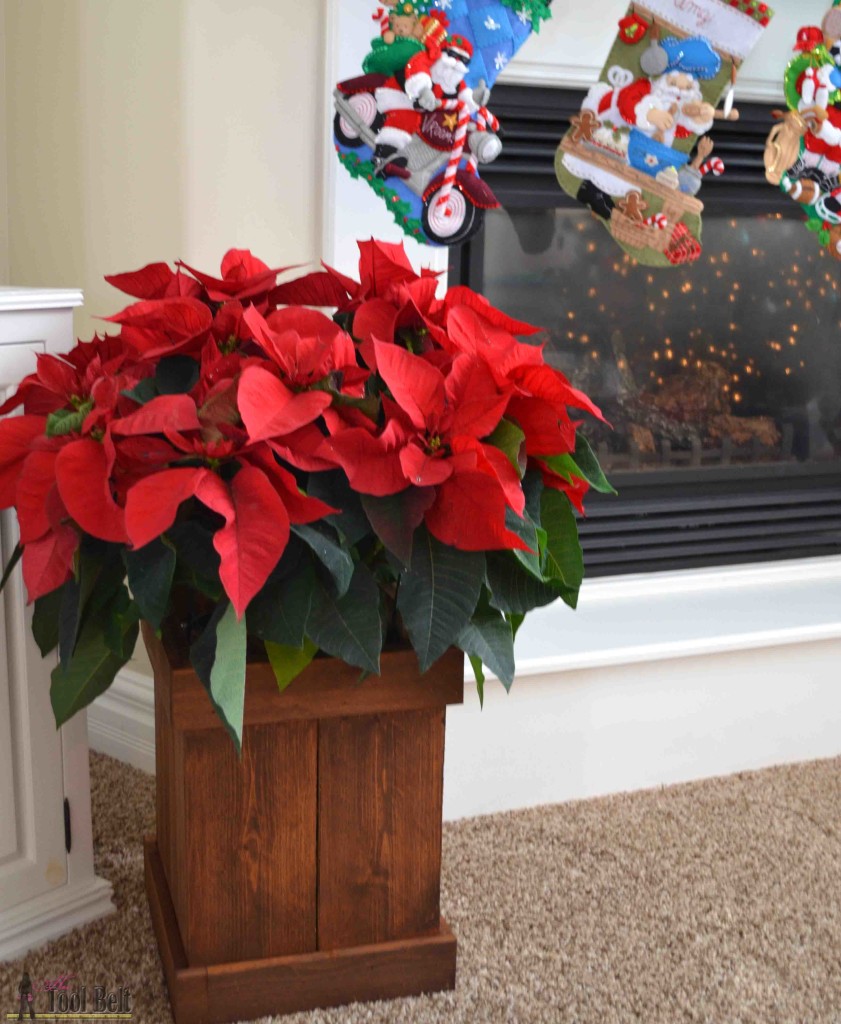 Ditch the gold foil wrapper and build a simple cedar poinsettia box.