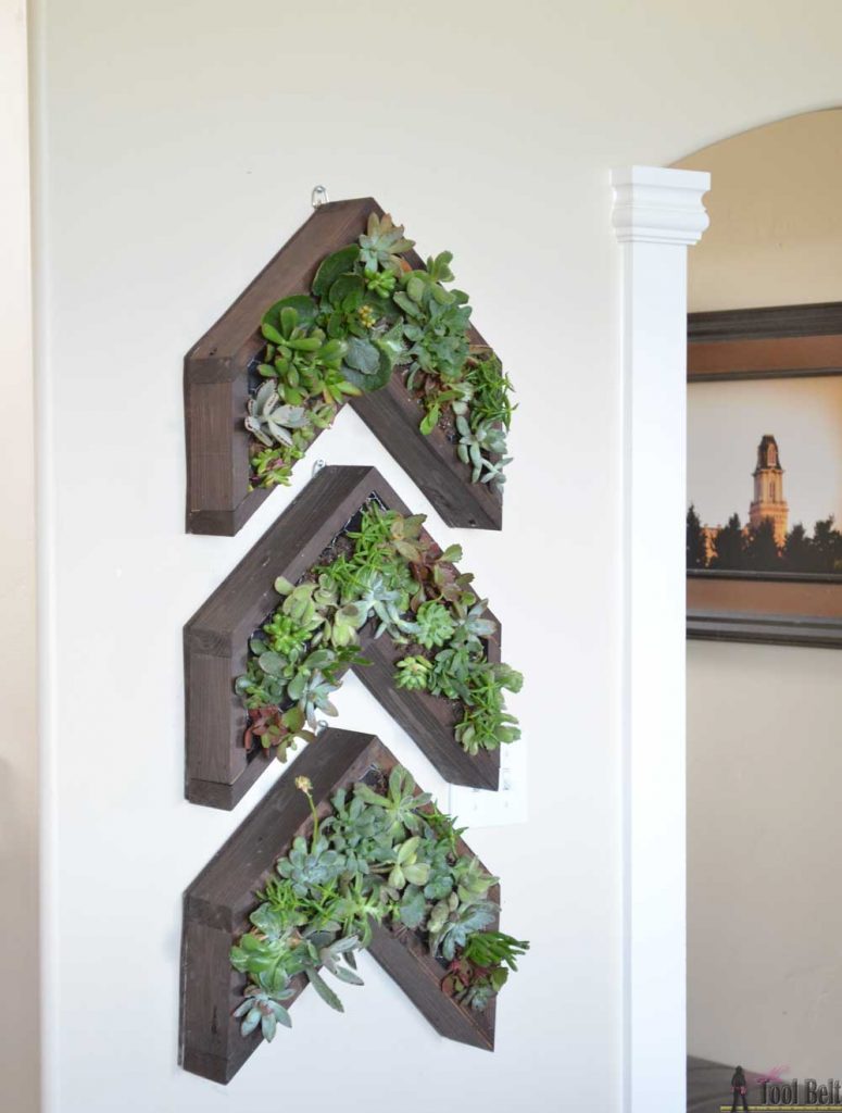 Have a narrow wall to fill? Add a unique vertical succulent planter in a 3 arrow shape with lots of cool texture and color. 