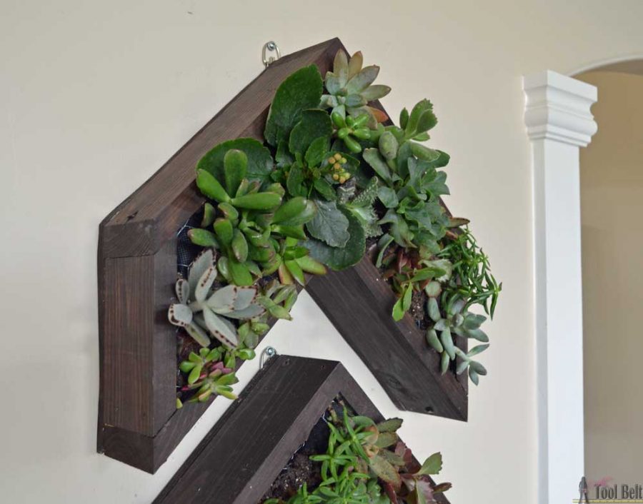 Have a narrow wall to fill? Add a unique vertical succulent planter in a 3 arrow shape with lots of cool texture and color. 