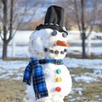 DIY Snowman Kit