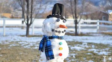 DIY Snowman Kit