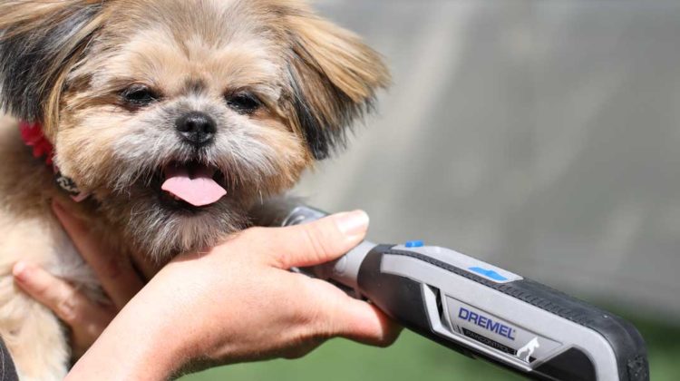 Dremel Pet Grooming Kit Review
