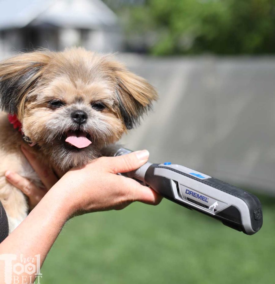 Keeping those fur babies nails trimmed. Dremel pet grooming kit tool review.