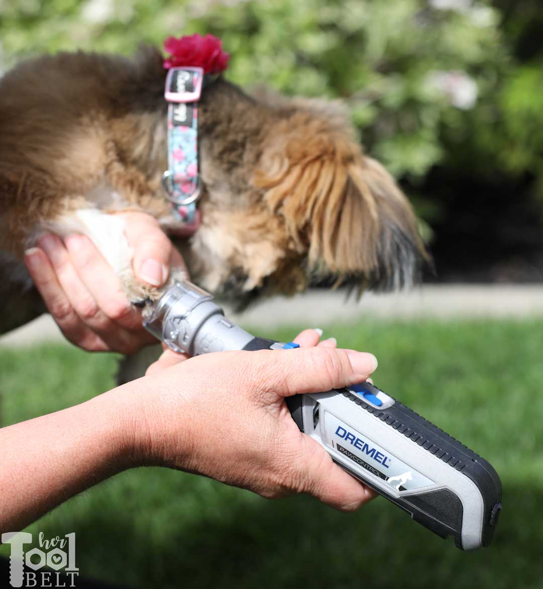 dremel 7760 pet